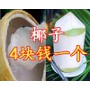 泰國(guó)椰子 椰皇 椰青批發(fā) 進(jìn)口水果 水果批發(fā)