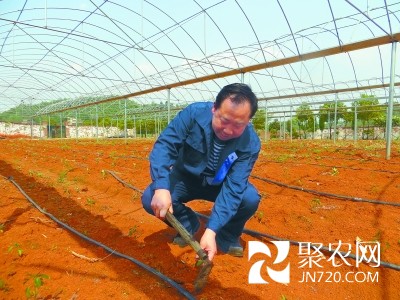 “辣椒人”老賀 勇敢面對創(chuàng)業(yè)風險