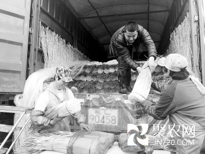 北京新發(fā)地：蔬菜價格高位運行