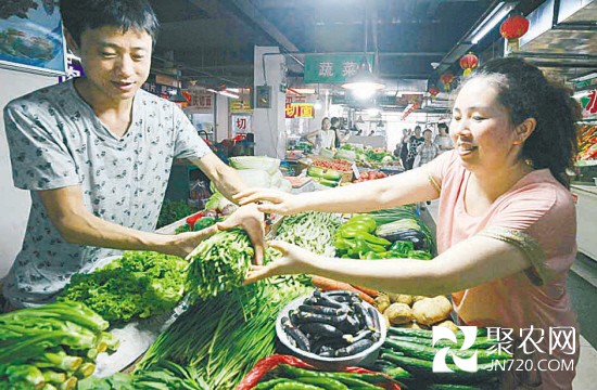 遼寧沈陽“地產(chǎn)菜”批量上市 菜價集體“退燒”