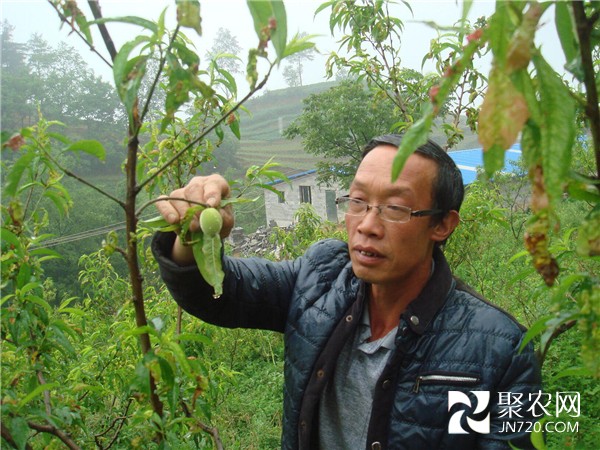 致富能手史開陽(yáng)：敢教荒山變桃源