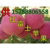 銷售山東蘋(píng)果價(jià)格趨勢(shì) 紙袋紅富士蘋(píng)果現(xiàn)價(jià)