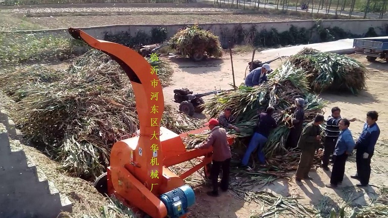 安陽鍘草機(jī)飼料行業(yè)不斷的創(chuàng)新