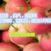 八月份蘋(píng)果價(jià)格美八嘎啦蘋(píng)果行情