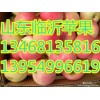 13954996619誠(chéng)信蘋果山東紅富士蘋果產(chǎn)地