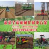 小行距移栽機(jī)|華龍機(jī)械提供優(yōu)惠的蔬菜移栽機(jī)