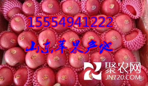 u=2908030514,3232603624&fm=27&gp=0_副本