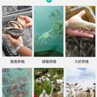 山東展鵬網(wǎng)業(yè)集團(tuán)有限公司與您相約2021廣州漁博會(huì)