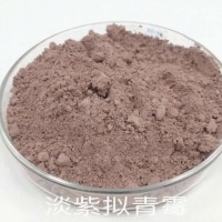 供應淡紫擬青霉微生物菌種原料廠家可代工