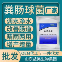 100億水產(chǎn)養(yǎng)殖用糞腸球菌改善腸道調(diào)水凈水魚蝦蟹特種養(yǎng)殖