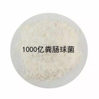 供應原料10億-1000億糞腸球菌飼料添加劑原料供應